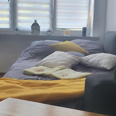 Apartament Park Saski Sandomierz Esterno foto