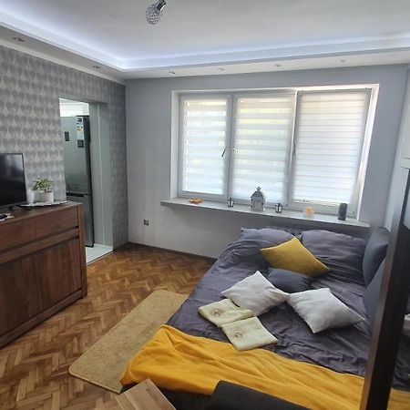 Apartament Park Saski Sandomierz Esterno foto
