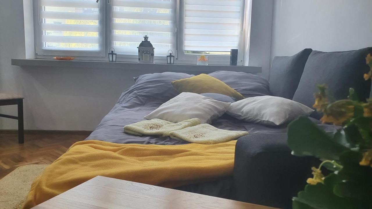 Apartament Park Saski Sandomierz Esterno foto